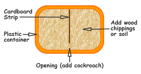 Choice chamber diagram