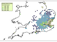 Spread of Roesel’s Bush-Cricket